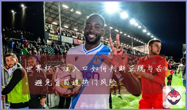 世界杯下注入口如何判断正规与否，避免盲目追热门风险