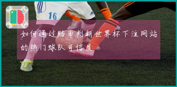 如何通过赔率判断世界杯下注网站的热门球队可信度