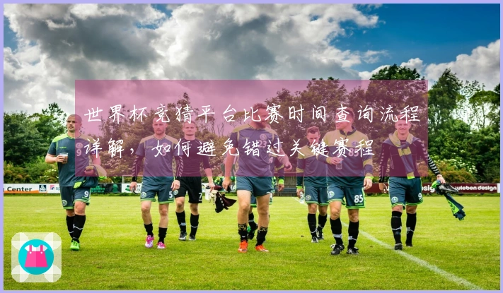 世界杯竞猜平台比赛时间查询流程详解，如何避免错过关键赛程
